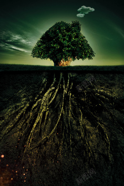 爱护树林创意环保爱护地球海报背景素材高清图片