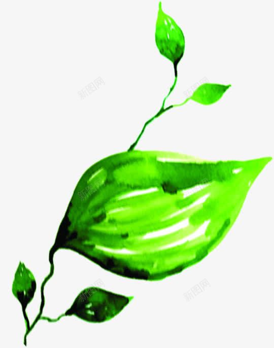 创意合成水彩绿色植物草木效果png免抠素材_新图网 https://ixintu.com 创意 合成 水彩 绿色植物 草木 效果