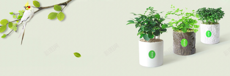 简洁创意盆栽植物海报背景
