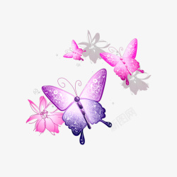 蝴蝶抠图漂亮绝美素材
