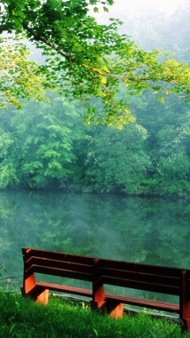 河边绿色温馨树林风景H5背景背景