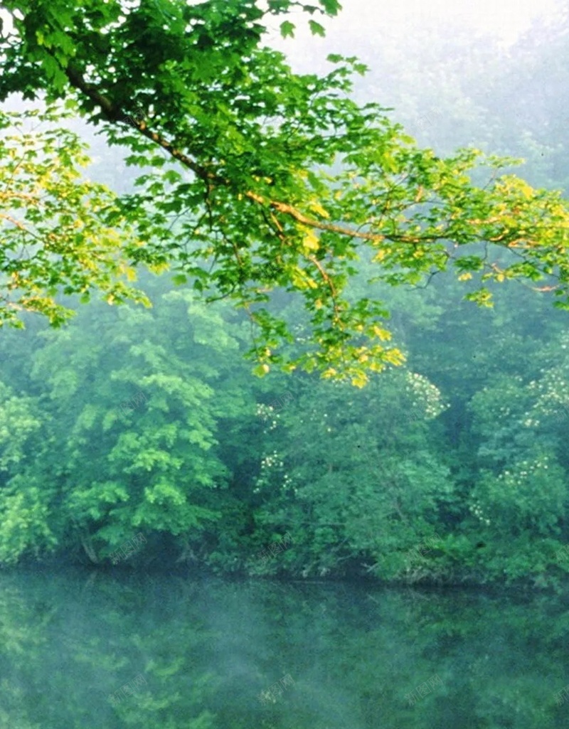 河边绿色温馨树林风景H5背景jpg设计背景_新图网 https://ixintu.com 河边 长椅 树林 河水 阳光 风景 摄影 天空