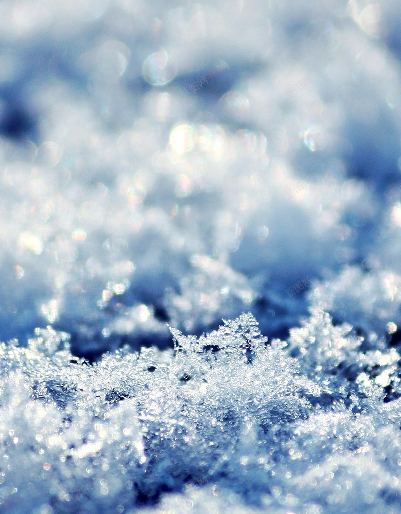 雪中风景手机H5背景jpg设计背景_新图网 https://ixintu.com 白色 雪花 冰晶 蓝色 摄影 H5 h5 风景