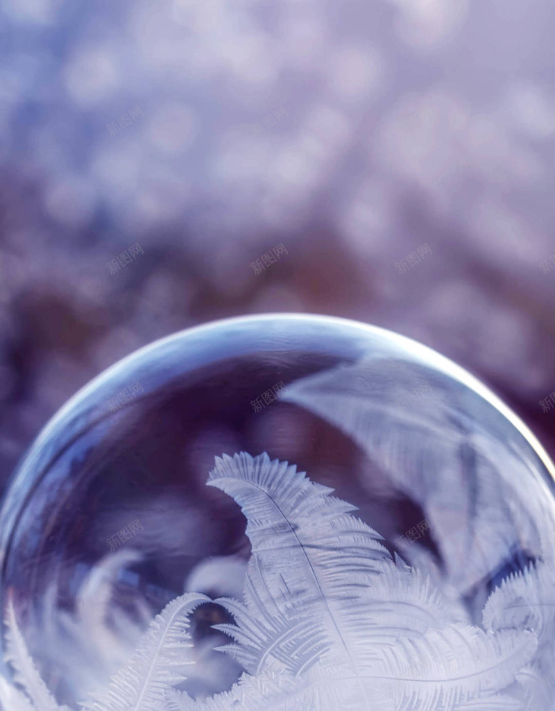 简约风景微镜头背景jpg设计背景_新图网 https://ixintu.com 简约 风景 微镜头 雪景 细微 文艺 清新 素材 主图 背景