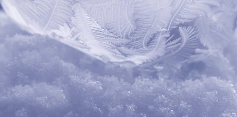 简约风景微镜头背景jpg设计背景_新图网 https://ixintu.com 简约 风景 微镜头 雪景 细微 文艺 清新 素材 主图 背景