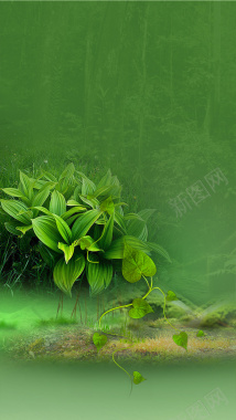 绿色植物小清新化妆品H5背景背景