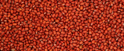 红豆纹理红豆背景高清图片