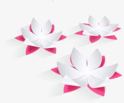 日本花白色莲花背景免费下载高清图片