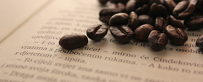 文艺摄影英文书上的咖啡豆摄影图片