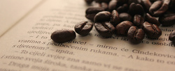 书上的咖啡文艺摄影英文书上的咖啡豆高清图片