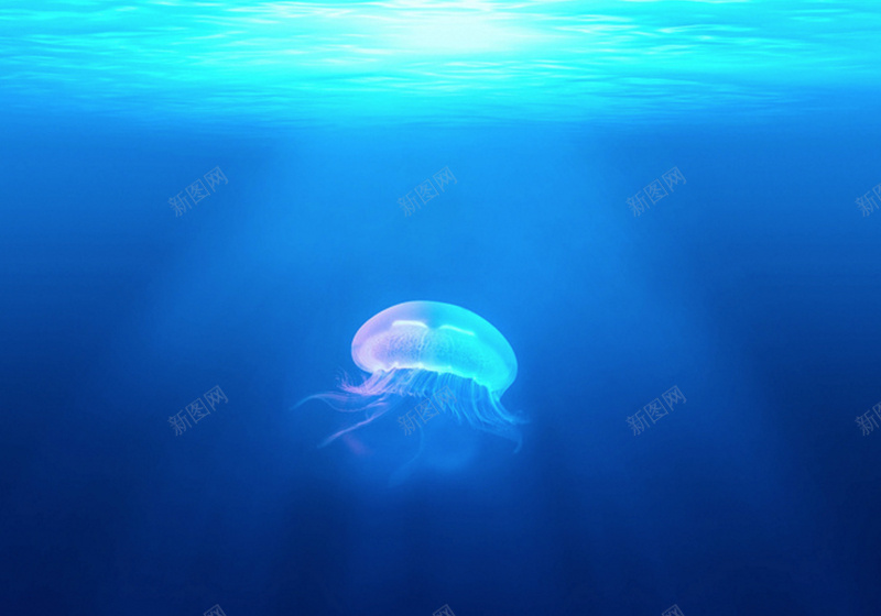 水下水母背景jpg设计背景_新图网 https://ixintu.com 水下 水母 环保 蓝色 海洋 浪漫 梦幻