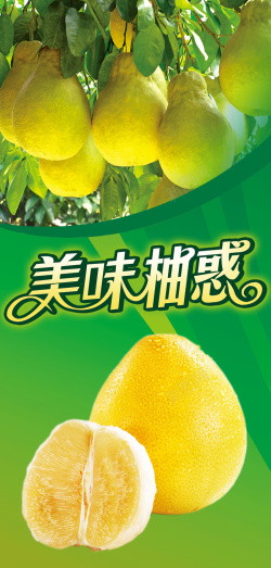 柚子广告清新水果包广告海报背景素材高清图片