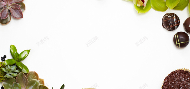 静物背景图jpg设计背景_新图网 https://ixintu.com 静物 植物 绿色 多肉 甜点 海报banner 摄影 风景