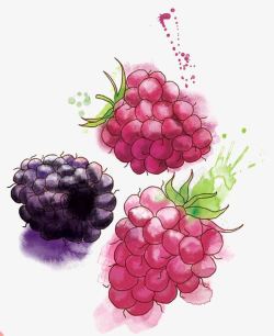 彩绘水果葡萄图素材