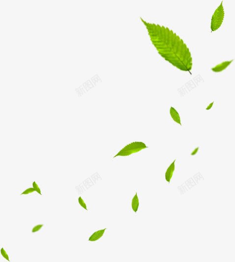 绿色清新树叶漂浮装饰png免抠素材_新图网 https://ixintu.com 绿色 清新 树叶 漂浮 装饰