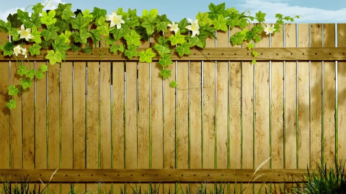 花藤与木栅栏海报背景素材背景