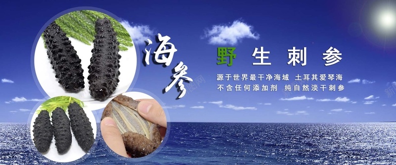 海参bannerpsd设计背景_新图网 https://ixintu.com 海产品 海鲜 大海 海洋 海报banner 海参 大气