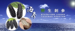 海参浆产品海报海参banner高清图片