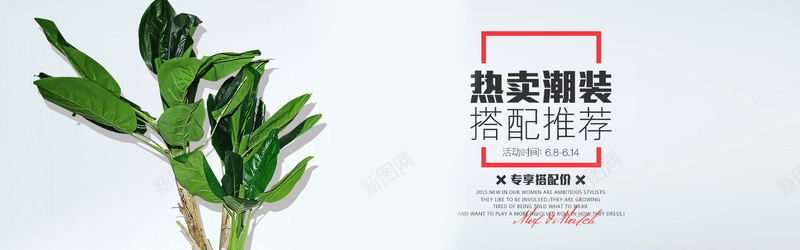 淘宝背景jpg设计背景_新图网 https://ixintu.com 夏装 女装 植物 灰色 热卖 海报banner