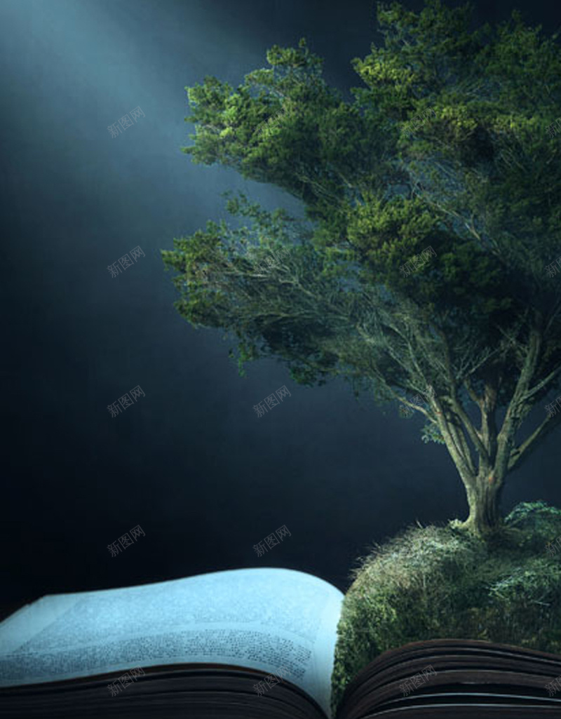 照射到书上的阳光H5背景jpg设计背景_新图网 https://ixintu.com 树木 创意 打开的书 阳光 夜晚