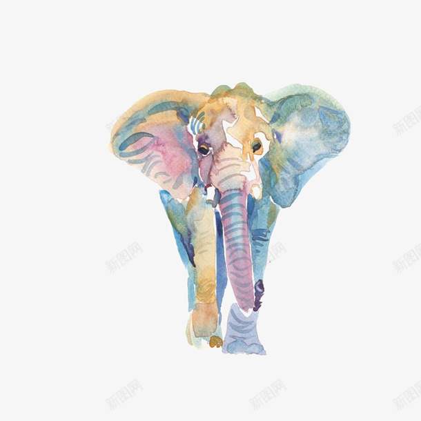 水彩手绘的大象素材png免抠素材_新图网 https://ixintu.com 大象 水彩 动物 非洲大象 装饰图 免抠图 装饰画 效果图