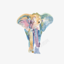 非洲森林象水彩手绘的大象素材高清图片
