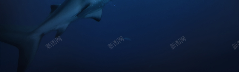 电影宣传POP广告psd设计背景_新图网 https://ixintu.com 企鹅 宣传 海洋 电影 鲨鱼 科技 科幻 商务