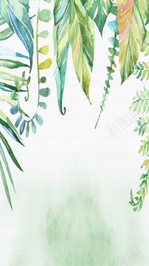 手绘植物PSD分层H5背景素材背景