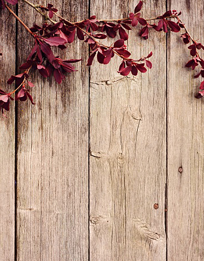 木质围墙H5背景jpg设计背景_新图网 https://ixintu.com 围墙 植物 木质 纹理 咖啡色 H5背景 灰色 H5 h5 质感