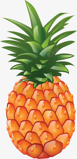 菠萝水果手绘水果插画素材