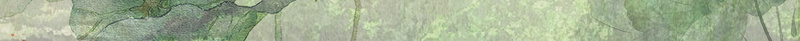 中国风旗袍高端服饰定制宣传海报psd设计背景_新图网 https://ixintu.com 中国风 旗袍 高端 服饰 定制 宣传 海报 荷花 古典 背景 素材