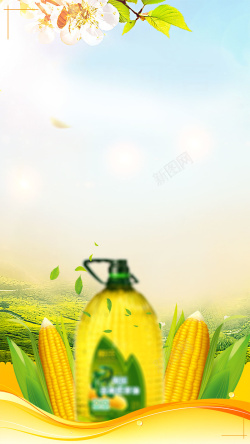 橄榄玉米油新鲜玉米油食用油食材H5背景素材高清图片