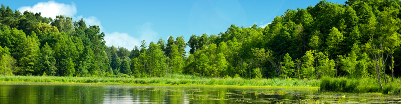 风景背景psd设计背景_新图网 https://ixintu.com 海报banner 蓝天白云 其他 树 水