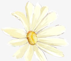 黄色浪漫花朵手绘素材