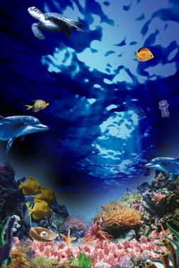 海洋公园海报背景素材背景