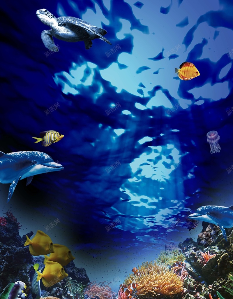 海洋公园海报背景素材jpg设计背景_新图网 https://ixintu.com 海洋公园 度假 海底世界 潜水 景点 海洋 海水 海上乐园 旅游
