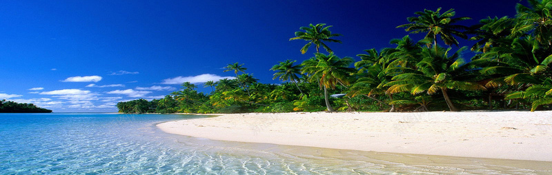 蓝天白云大海沙滩椰林背景