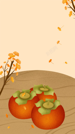 柿子成熟金秋十月黄色柿子成熟高清图片