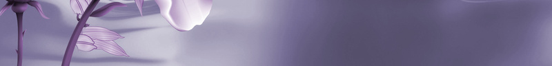 时尚紫色荷花海报背景素材psd设计背景_新图网 https://ixintu.com 化妆品 时尚 海报 背景 荷花 房地产 科技 科幻 商务