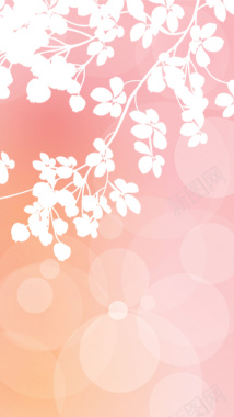 几何光影白色花卉H5背景背景