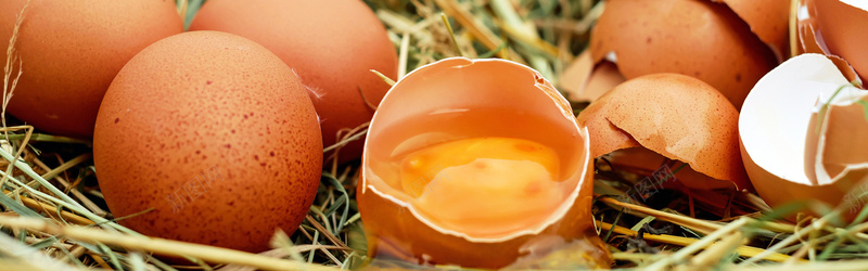 鸡蛋生鲜系列背景jpg设计背景_新图网 https://ixintu.com 鸡蛋 蛋黄 草堆 海报banner 摄影 碎裂的新鲜鸡蛋 风景