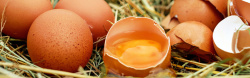 碎裂鸡蛋生鲜系列背景高清图片