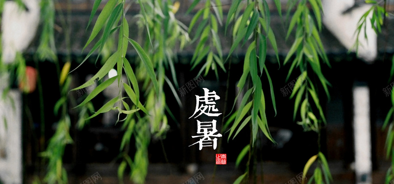 节气处暑背景背景