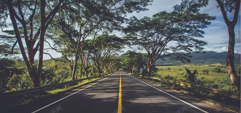 森林道路摄影海报背景背景