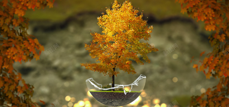 秋色树木背景背景