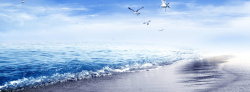 蓝色海天背景大气海天海鸥背景高清图片