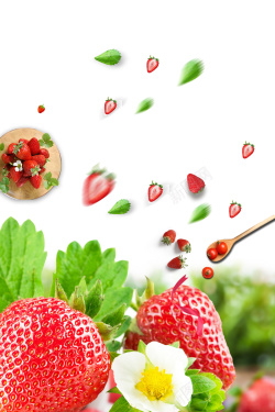 亲子摘草莓摘草莓白色背景简约海报高清图片