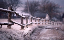 风景素材背景PNG背景