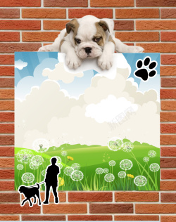 文明宣传养宠物砖墙展板文明养犬宣传背景素材高清图片