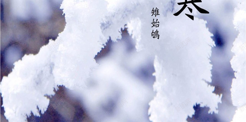 松树上的白雪H5素材背景jpg设计背景_新图网 https://ixintu.com 小寒 松树 白雪 节气 H5素材